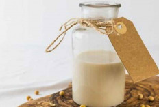 Manfaat Konsumsi Susu Kedelai untuk Kesehatan, Salah Satunya Mengurangi Kolesterol