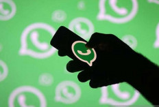 Jangan Blokir! 3 Cara Cerdas Menghindari Pesan Mengganggu di WhatsApp