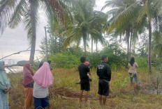 Warga Belitung Terpukau Latihan Pendaratan Amfibi Marinir TNI AL