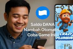 Crazy Plumbing 2025: Game Penghasil Saldo DANA Gratis yang Lagi Viral, Saldo Otomatis Bertambah