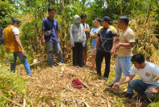 Remaja Perempuan di Belitung Diduga Coba Bunuh Ibu Kandung, Polisi Dalami Motif Penganiayaan