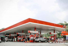 Pengamat Ekonomi Optimis Pertamina Mampu Capai Swasembada Energi