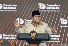 Satu tahun Danantara: Menakar Langkah, Menata Masa Depan