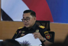 Ratusan iPhone Diselundupkan Lewat Batam, Petugas Tindak Tegas