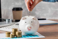 Investasi Harian, Mingguan, atau Bulanan: Mana yang Paling Disiplin dan Menguntungkan?