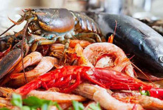 Waspada! 5 Jenis Seafood Ini Mengandung Kolesterol Tinggi, Jangan Asal Makan