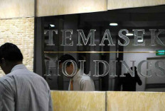 Pemerintah Gandeng Temasek Perkuat Investasi Hijau dan Start-up di Indonesia