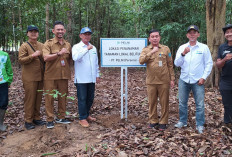 Bukit Peramun Belitung Jadi Lokasi Penamanan Pohon Lokal Dungun dan Belangeran