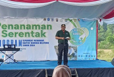 Total Lahan Kritis Babel Capai 167.000 Hektare, Akibat Tambang dan Perambahan Hutan