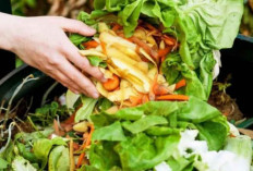 Bapanas Susun Rancangan Perpres Penyelamatan Pangan untuk Tekan Limbah Pangan