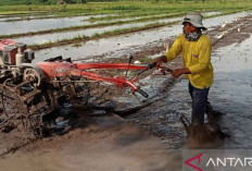 Upaya Merawat Tanah Sebagai Ibu Kehidupan