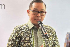 Hilirisasi RI Diproyeksi Raup Investasi 618 Miliar Dolar AS