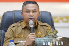Pemerintah Fokus Genjot Produksi Gas Bumi, Riau Jadi Pilar Swasembada Energi Nasional