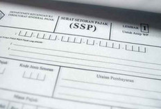 Pembebasan PPh 21 Dinilai Hanya Solusi Sementara Dorong Daya Beli