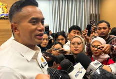 Kadin Tekankan Penciptaan Lapangan Kerja Baru untuk Atasi Dampak PHK di Sektor Industri