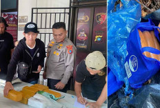 Heboh! 26 Kg Narkoba Tak Bertuan Ditemukan di Babel, Sabu di Laut Belitung dan Ganja di Bangka