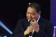 Tarif AS 19 Persen Berlaku 7 Agustus, Pemerintah Lobi Komoditas Strategis Bebas Bea Masuk