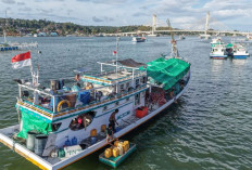 Modernisasi Kapal Ikan Harus Berkeadilan bagi Nelayan Kecil