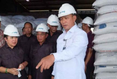 DPR Minta Bulog Batasi Penyimpananan Stok Beras Maksimal Enam Bulan