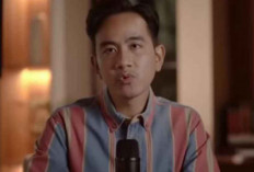 QRIS Digunakan 56 Juta Orang, Gen Z Jadi Penggerak Utama Transformasi Digital