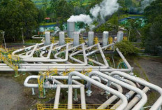 Ketahanan dan Transisi Energi di Tengah Gejolak Geopolitik Global