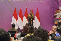Jokowi Dorong Optimalisasi Teknologi untuk Hilirisasi Kelapa di Indonesia