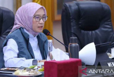 MenPANRB Tekankan Pemda Harus Pastikan Honorer Daftar Seleksi PPPK Tahap II