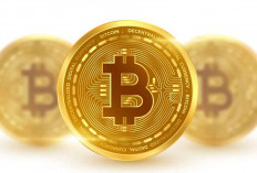 Pasokan Bitcoin Menyusut Tajam, Investor Tetap Tahan Jual Meski Sudah Untung Besar!