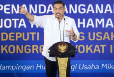 Menteri Maman: Pelaku Usaha Mikro Tak Seharusnya Langsung Dipidana, Harus Dibina