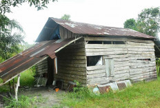 DPUPRP2RKP Beltim Targetkan 150 Rumah Direhab Tahun 2026, Wujudkan Hunian Layak