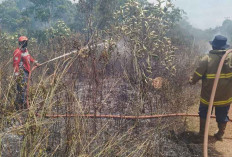 Sepekan, BPBD Belitung Tangani Belasan Karhutla, Terbaru di Kawasan Aik Ketekok