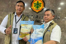 Bulog Usulkan Beras SPHP Berganti Merek Jadi Beras Kita