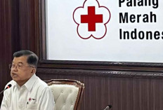 Jusuf Kalla: Pemanfaatan Kayu Hanyut Terbawa Banjir Harus Sesuai Aturan