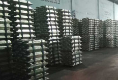 Pengangkutan Isi Gudang PT SIP Ilegal: Skandal Penjarahan Seret Oknum Satgas dan Pengusaha