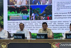Satgas PKH Tertibkan dan Kuasai Kembali 4,09 Juta Hektare Kawasan Hutan dalam Setahun