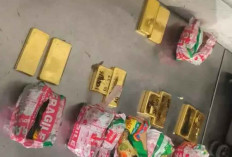 Bea Cukai Soetta Gagalkan Penyelundupan Emas Rp45,73 Miliar, Disembunyikan dalam Bungkus Mi Instan