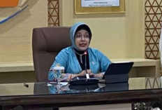 BPS Manfaatkan AI untuk Kode Klasifikasi Usaha pada Sensus Ekonomi 2026