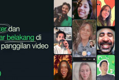 WhatsApp Luncurkan Fitur Baru, Ada Filter dan Latar Belakang untuk Video Call