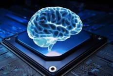 Asta Cita dan SDM Berwawasan Kebangsaan di Era Digital