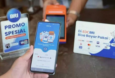 QRIS Tap Tembus 47,8 Juta Pengguna, BI Siapkan Ekspansi ke Transportasi Publik