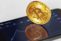 Analis Soal Bitcoin Cetak Rekor Tertinggi, Harga Bisa Tembus US$132.500