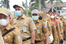 Pemprov Babel Buka Lowongan CPNS 2024, Berikut Rincian Formasi dan Kualifikasi Pendidikan