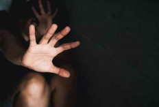 Babel Darurat Kekerasan Seksual Anak! Dinas P3ACSKB 100 Korban 