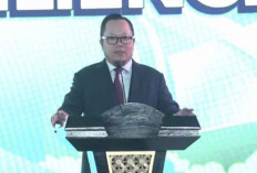 Danantara Fokus Eksekusi Investasi Mineral dan Energi dalam 6 Bulan ke Depan
