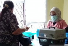 DPKP Babel Perkuat Layanan Klinik Hewan untuk Cegah Penyakit Zoonosis