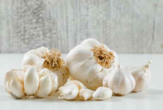 Bawang Putih Masuk Roadmap Swasembada Nasional hingga 2029