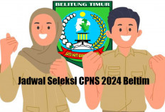 Syarat dan Jadwal Lengkap Seleksi CPNS Beltim 2024