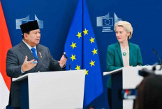 Prabowo Buka Pintu Investasi Asing di Sektor Kesehatan dan Pendidikan, CEPA Siap Diteken