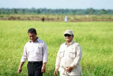 Prabowo Cetak Sejarah: Cadangan Beras Nasional Tembus 4 Juta Ton, Tertinggi Sejak 1969