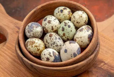 Waspada! Ini Bahaya Mengonsumsi Telur Puyuh Berlebihan untuk Kesehatan